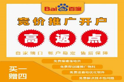 百度竞价价格解析，成功案例分享